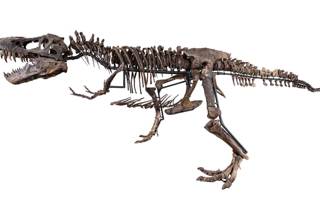 The Tyrant Lizard King at MillionPlus.com!